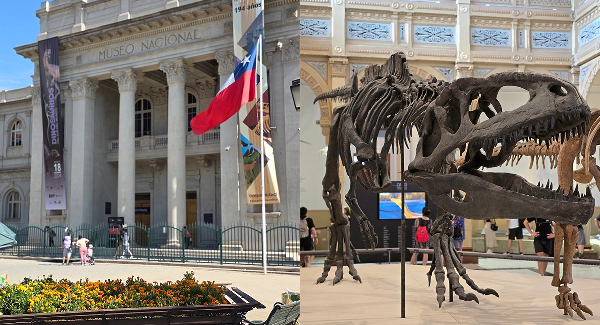 MUSEO NACIONAL DE HISTORIA NATURAL (MNHN): UN PALACIO PARA LA FLORA Y LA FAUNA
